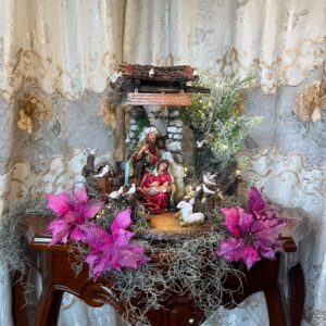 Pesebre Navidad edicion